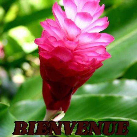 Alpinia Apartment Sainte-Anne Ngoại thất bức ảnh